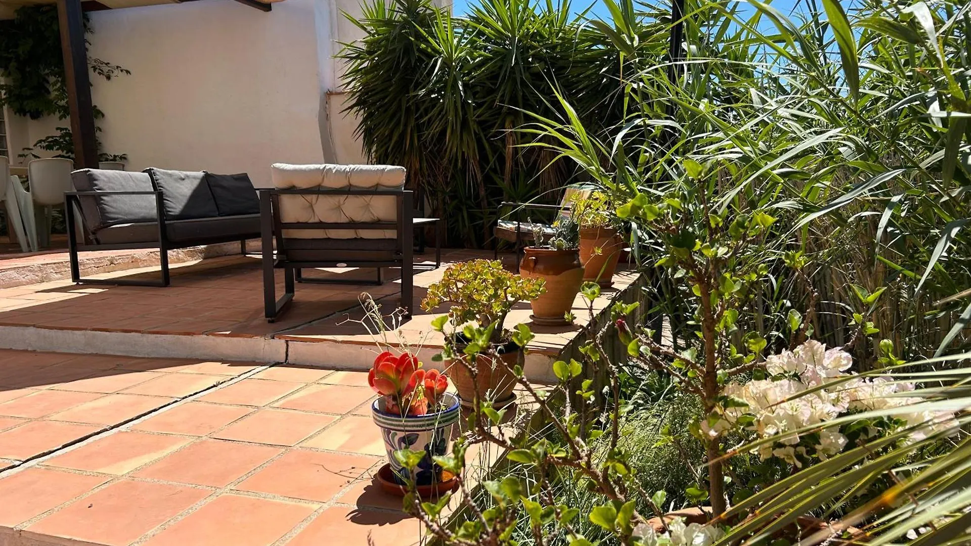 Casa Rural La Bodega Castell de Ferro 0*,